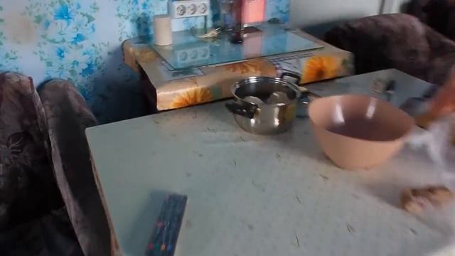 Получила пенсию купила продукты теперь целый день готовлю сыну кушать он много ест и не работает