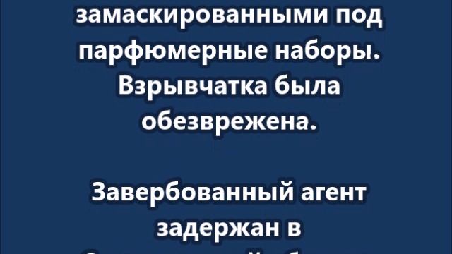 Украинские спецслужбы планировали отправлять посылки с бомбами участникам СВО