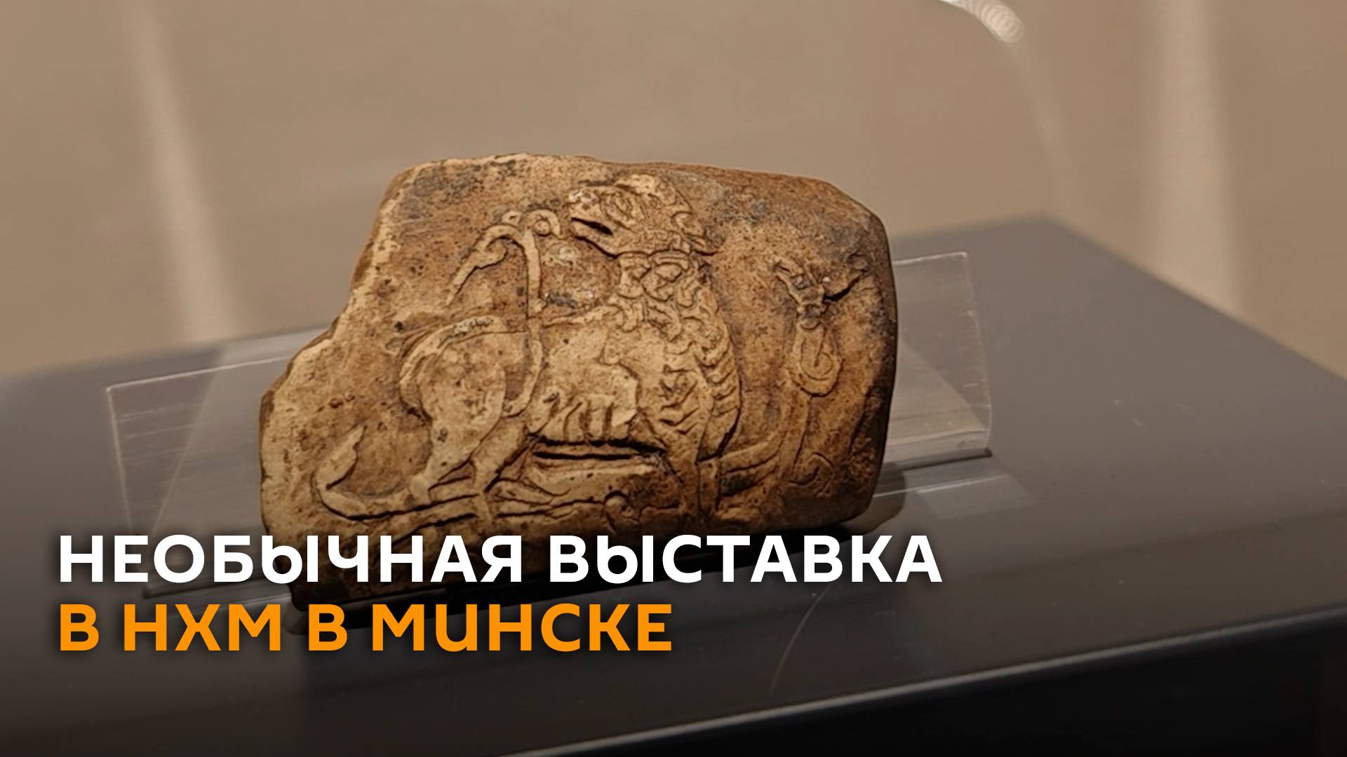 Необычная выставка археологии открылась в Минске