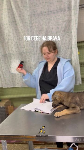 Правильное распределение бюджета. Поддержать⬇️