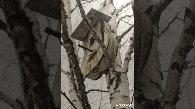 Я просил.
