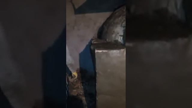 Караганда тандир номер 1