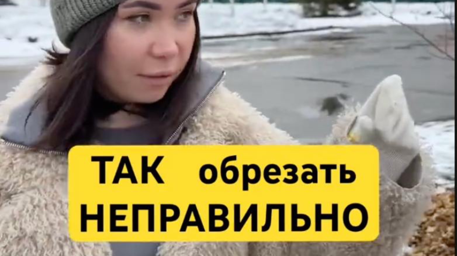 3 правила как легко и просто самому обрезать деревья