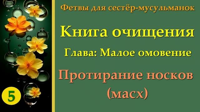 5. Книга Очищения (Протирание носков - масх)