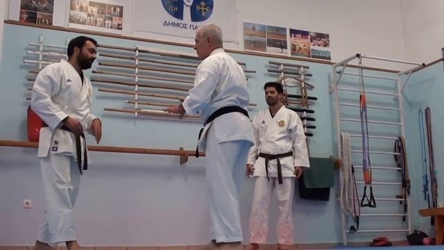 Karate - Elefsiniotis TeamParos (76)
