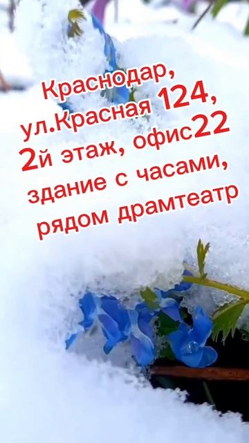 весна пришла