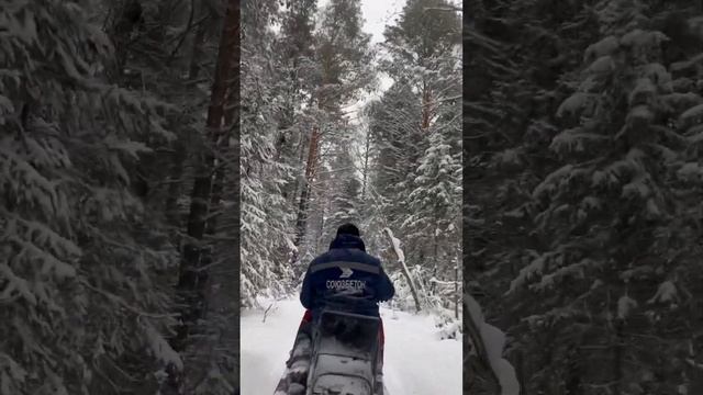 Буран с резонатором ДД по лесу. Видео от клиента