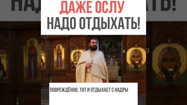 Андрей Ткачев: Даже ослу нужен отдых!