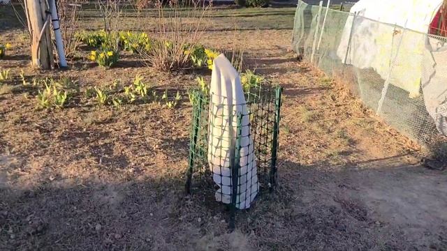 GARDEN Do This NOW | PREPPING for PLANTING | Tilling Wood Ash