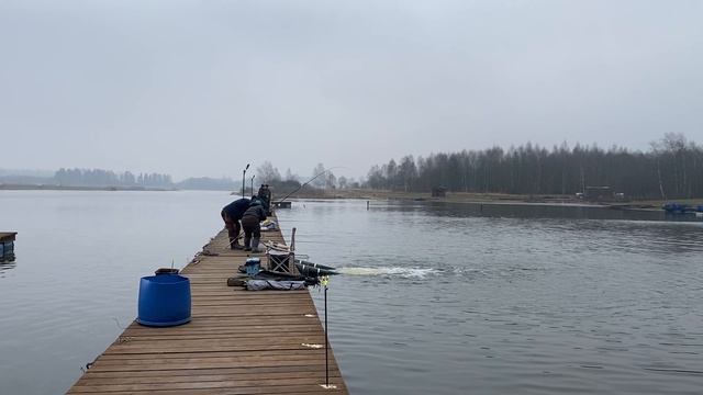 Первые поимки форели с открытой воды!