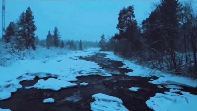 InShot_20250312_153347017.mp4