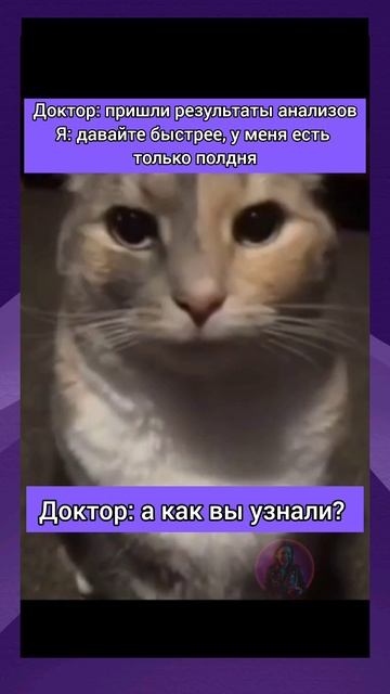 Юмор | Meme Clouds