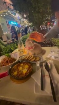 А это вместо десерта 🍰