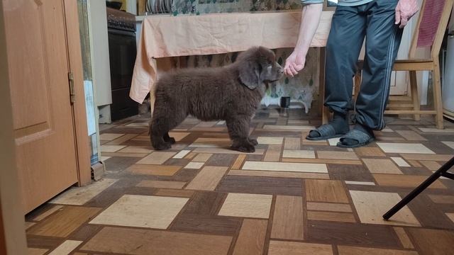 VID_20250313_214031.mp4