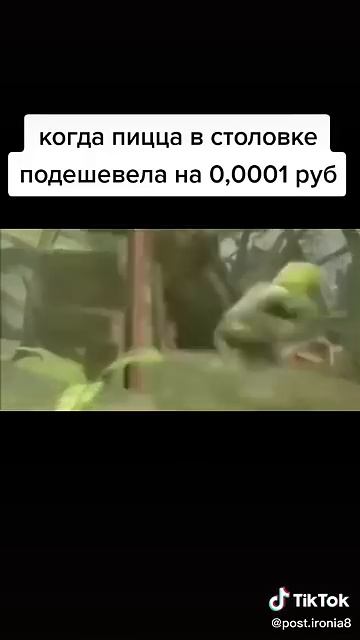 сталовая