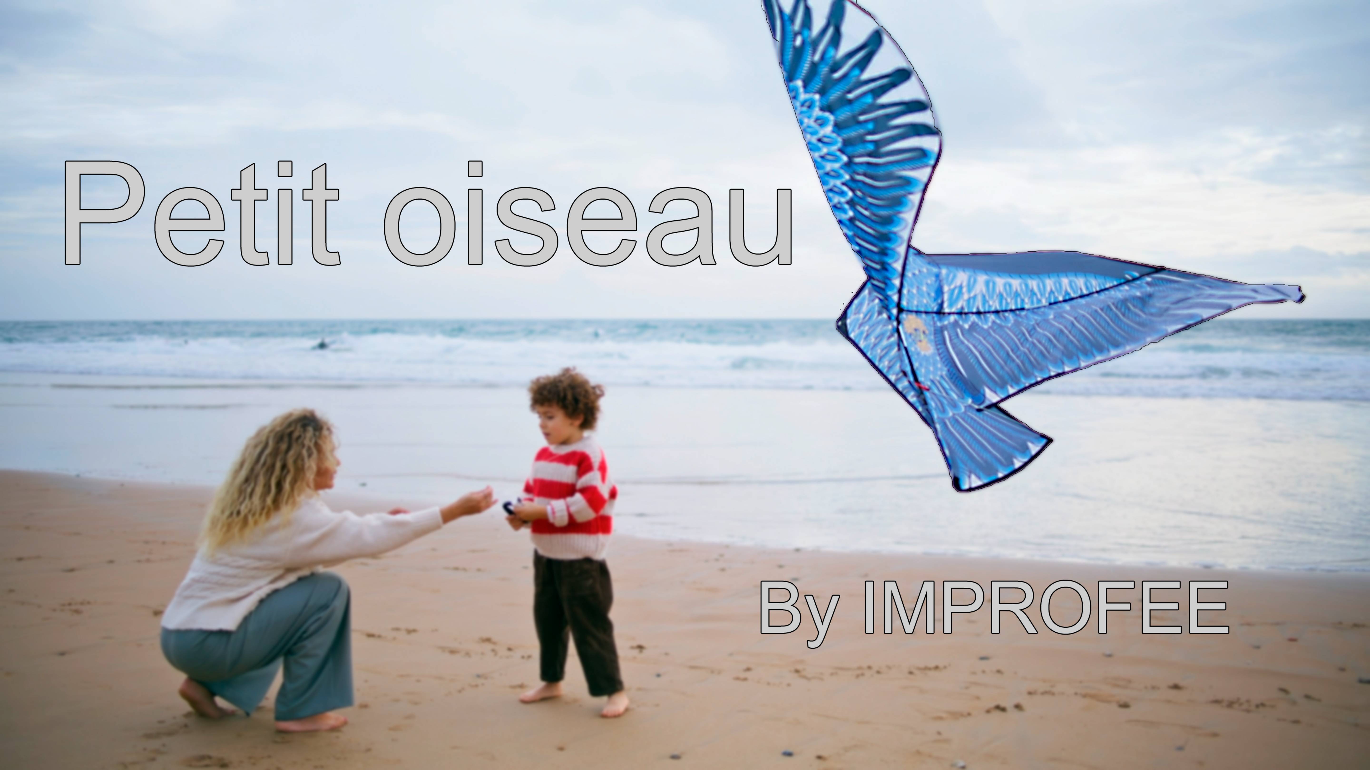 Petit oiseau / IMPROFEE