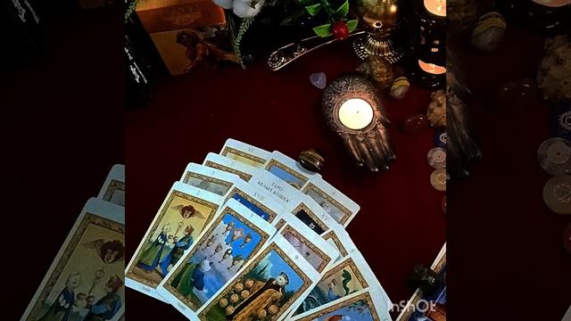 🗣В ЧЕМ ВАС ОБВИНЯЕТ СОПЕРНИЦА⁉️