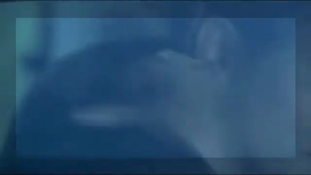 Michael and Sara - Притяжение