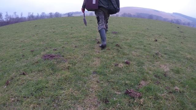 Slow Motion Rabbit Traps 🏴󠁧󠁢󠁳󠁣󠁴󠁿