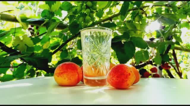 🥃 Шнапс Абрикосовый🍑