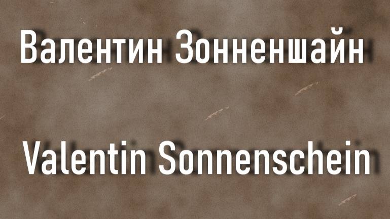 Валентин Зонненшайн Valentin Sonnenschein биография работы