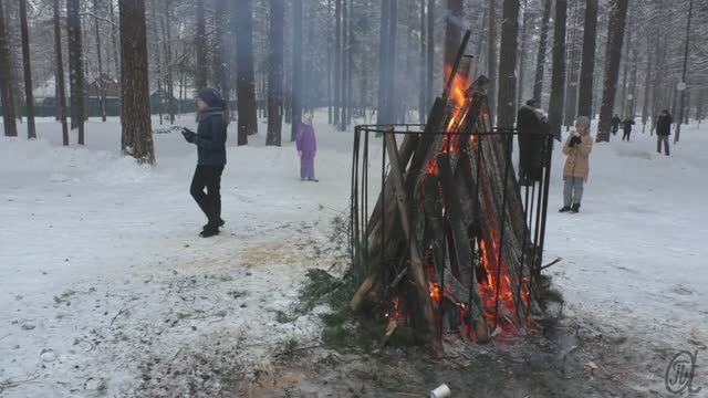 Луга /07.01.2019/