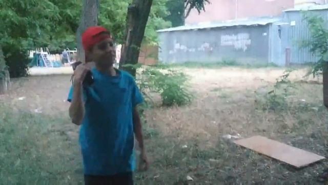 Загадочный лес