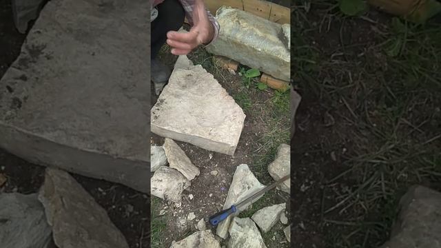 ГОСТИ ИЗ ШАЛИ.