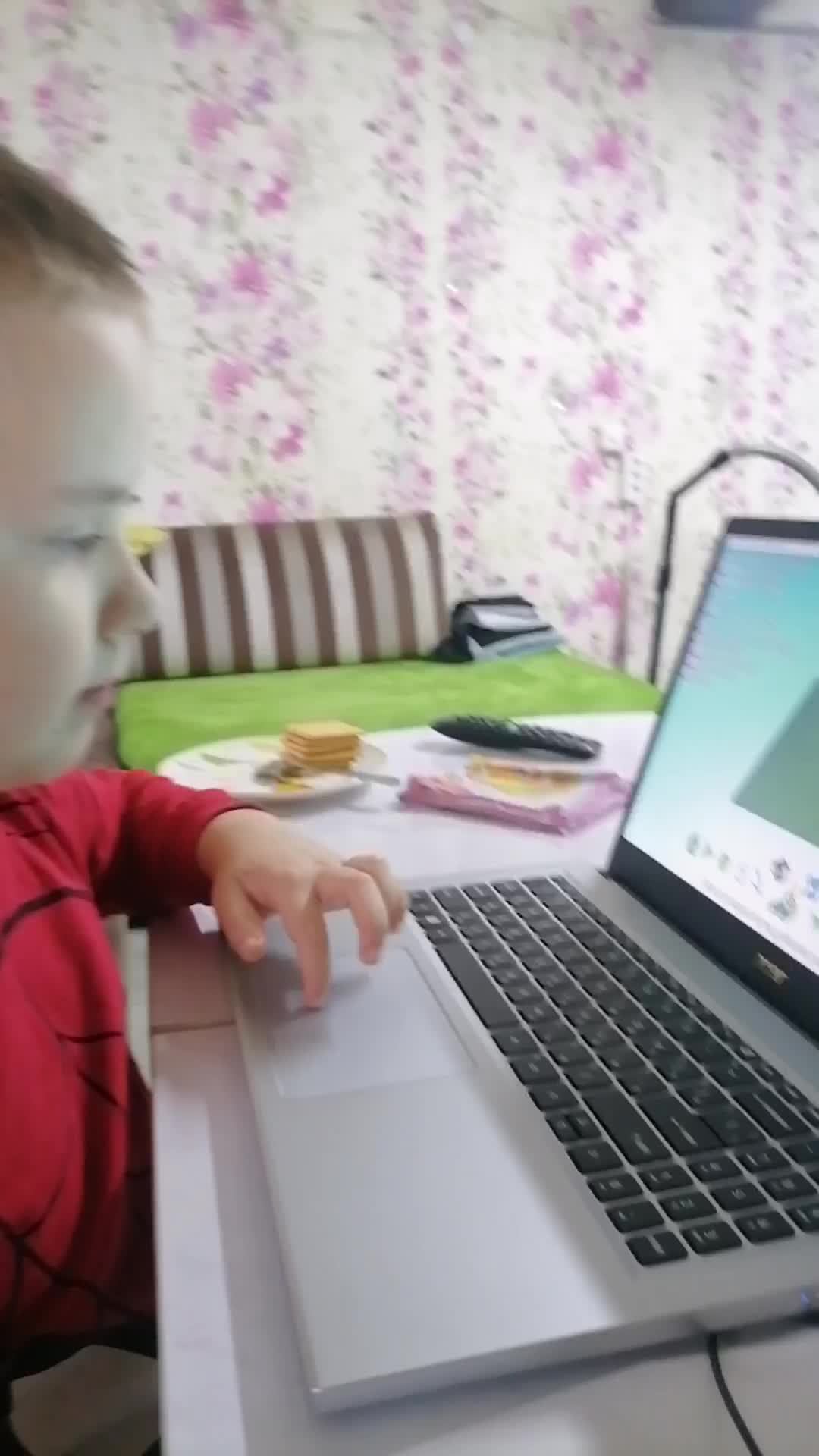Программирование для начинающих