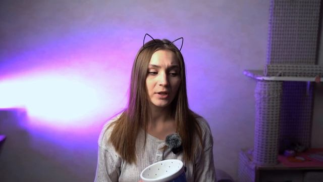 ПОЯВЛЕНИЕ КОТЁНКА В ДОМЕ. ЧТО ДАЛЬШЕ? #top #cats #котята #мейнкун