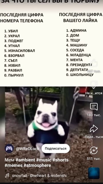 1000003379.mp4