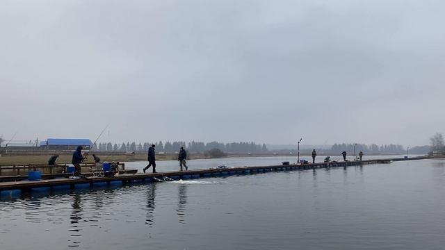 Пополняемся форелью - запуск 40кг