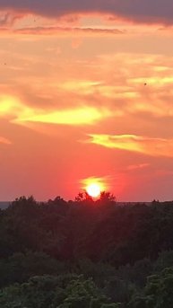 #санаторий #мичуринец
Закат и ласточки