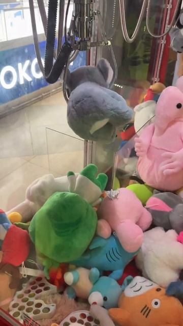 миленькая коала 🐨#хватайка #аппаратхватайка #clawmachine