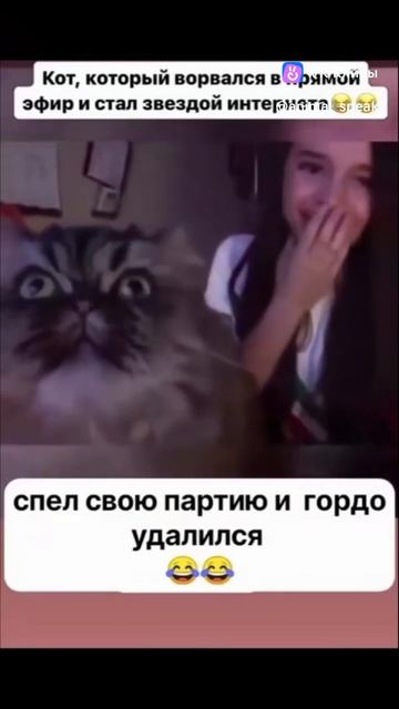 кот подпевает