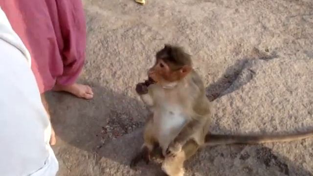Hanuman.MPG
