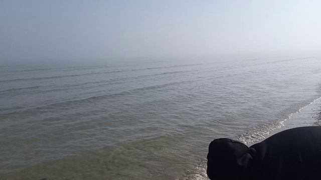 Побережье Каспийского моря и прогулки вблизи моря.