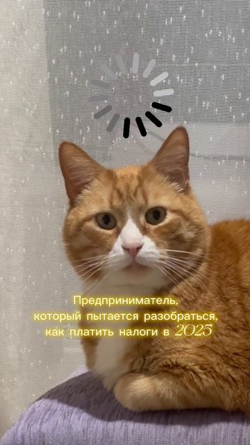 Все о налоговой реформе

#налоги #дробление #финансы #ндс
