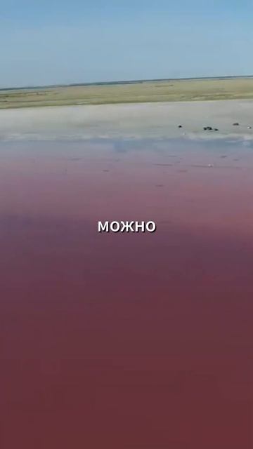 Курорт на Алтае которому позавидуют все #отдых