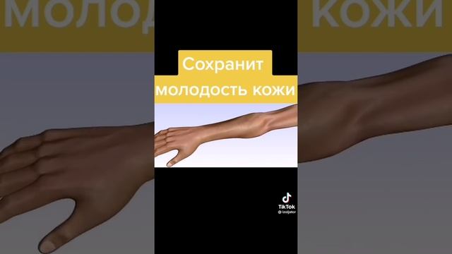 гинкгоБилоба.mp4
