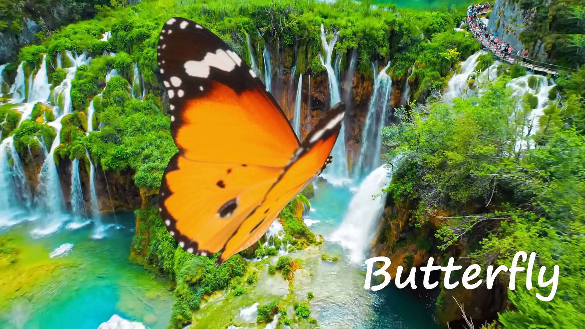 Butterfly (Crazy Town Cover)