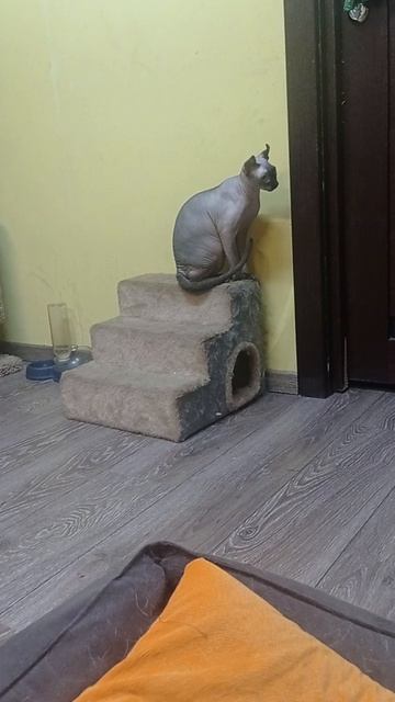 VID_20230911_223421
