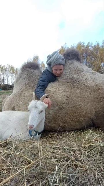 Лучший антистресс