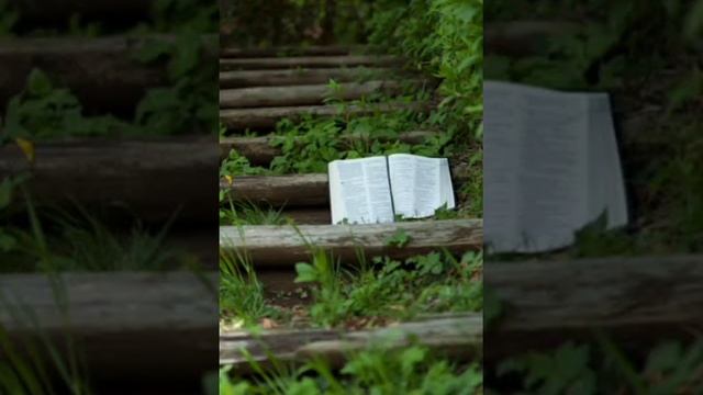 БИБЛИЯ, 2-я Книга Царств, Слово Божье.