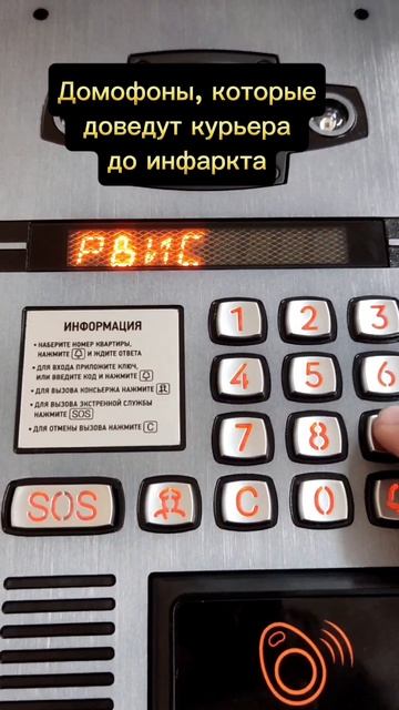 Как вам такой рингтон? #shorts #mem #fyp #приколы #доставка