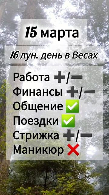 Лунный день 15 марта 2025 года.