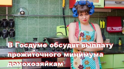 В Госдуме обсудят выплату прожиточного минимума домохозяйкам