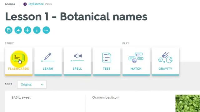 Joyessence - Quizlet Tutorial