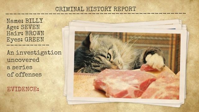 10. Criminal Demo