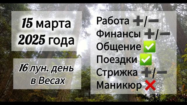 Лунный день 15 марта 2025 года.